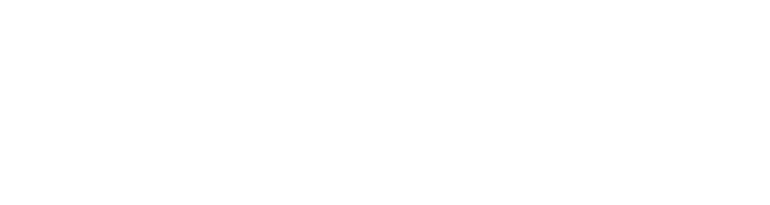 Platinum Custom Car Care